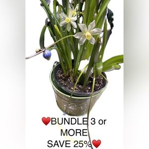 Bundle to Save!